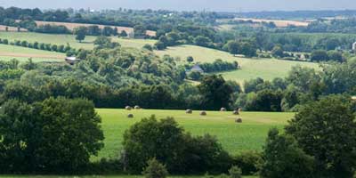 Mayenne